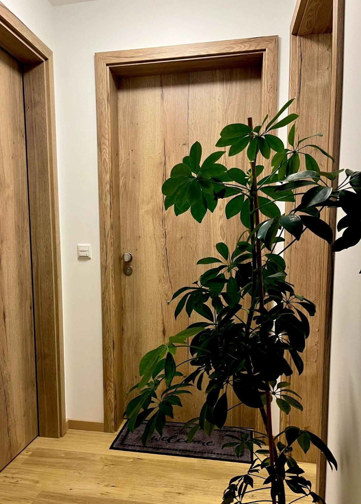 Fewo Nr 1 Iller Im Allgaeu Mit Balkon Bergblick 松托芬 外观 照片